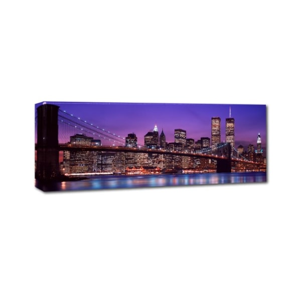 Doug Cavanah 'Manhattan' Canvas Art,16x47